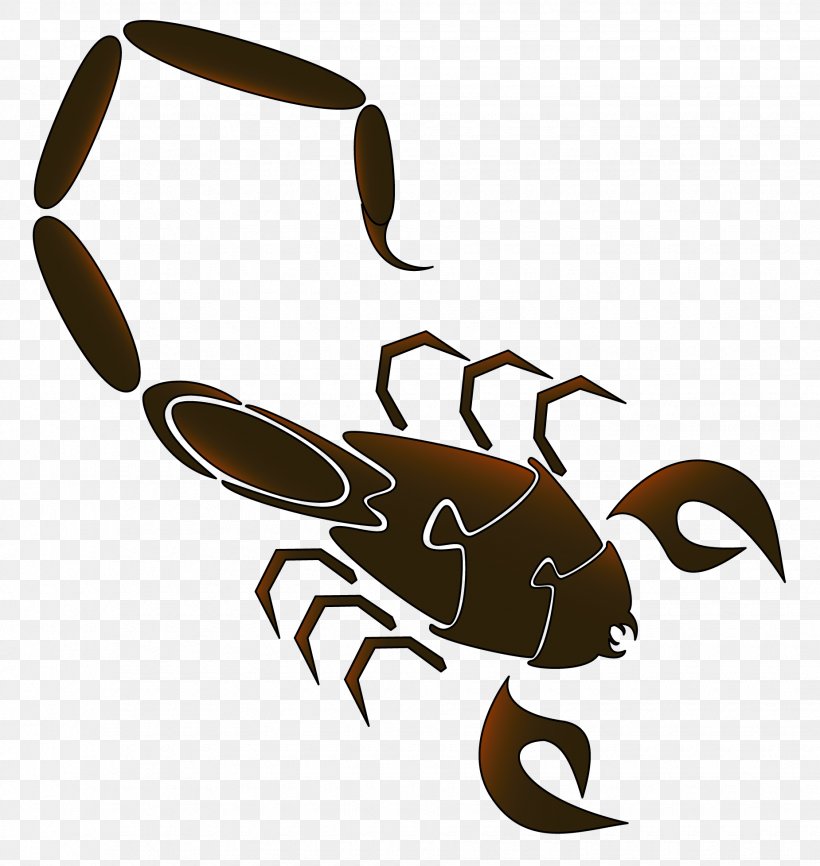 Clip Art Insect Symbol Decapods Earth, PNG, 1850x1956px, Insect, Arthropod, Artwork, Decapoda, Decapods Download Free