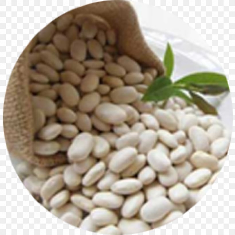 Kidney Bean Navy Bean Dal Carbohydrate, PNG, 1024x1024px, Kidney Bean, Bean, Carbohydrate, Chickpea, Commodity Download Free