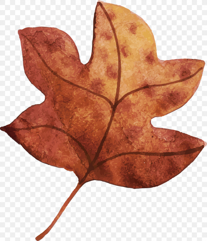 Leaf Plants Biology Plant Structure Science, PNG, 2577x3000px, Watercolor Autumn, Biology, Colorful Leaf, Leaf, Plant Structure Download Free