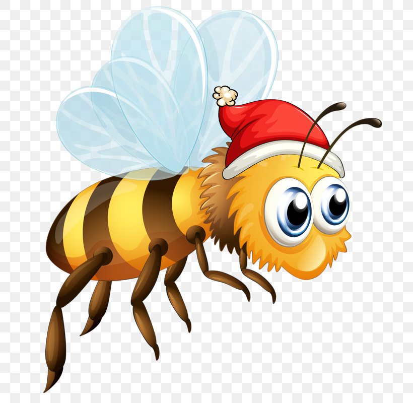 Honey Bee Insect Clip Art, PNG, 739x800px, Bee, Antenna, Art, Arthropod, Bee Flies Download Free