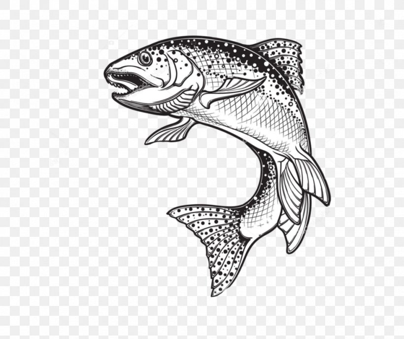 Rainbow Trout Drawing Sketch Vector Graphics Illustration, PNG, 976x818px, Rainbow Trout, Automotive Design, Black And White, Body Jewelry, Brook Trout Download Free