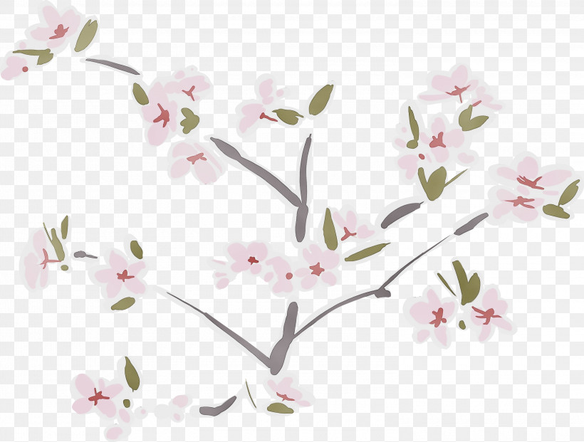 Cherry Blossom, PNG, 3000x2275px, Cherry Flower, Blossom, Branch, Cherry Blossom, Floral Download Free
