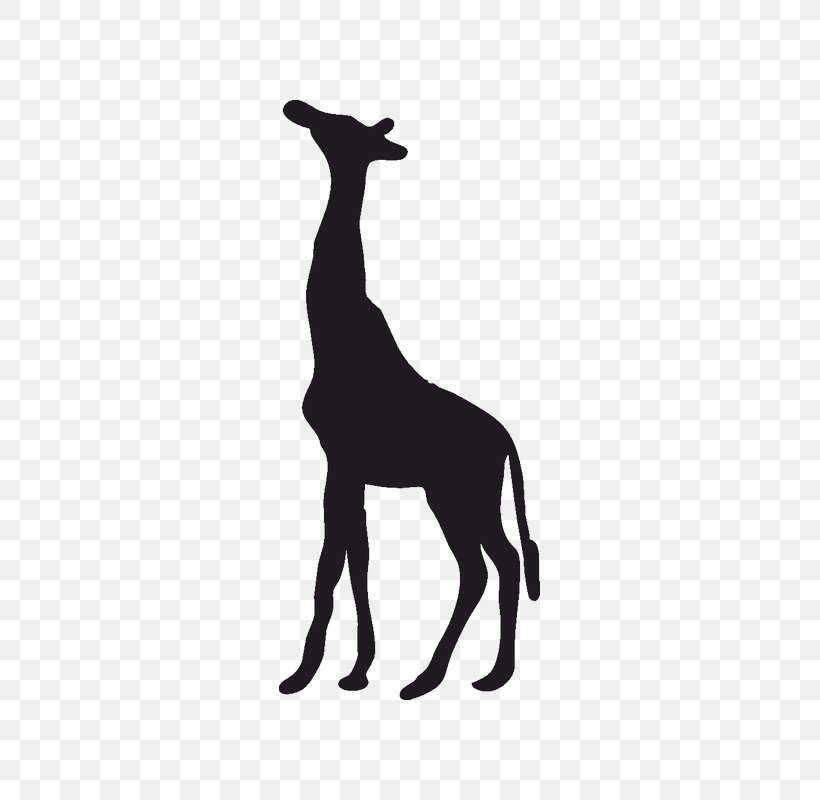 Clip Art Silhouette Image Northern Giraffe, PNG, 800x800px, Silhouette, Animal Figure, Animal Silhouettes, Black, Black And White Download Free