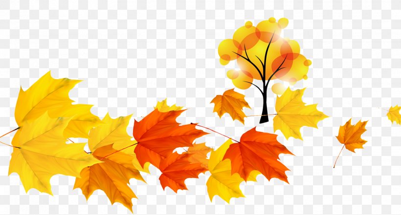 Maple Leaf, PNG, 1857x1000px, Leaf, Autumn, Black Maple, Deciduous, Maple Download Free