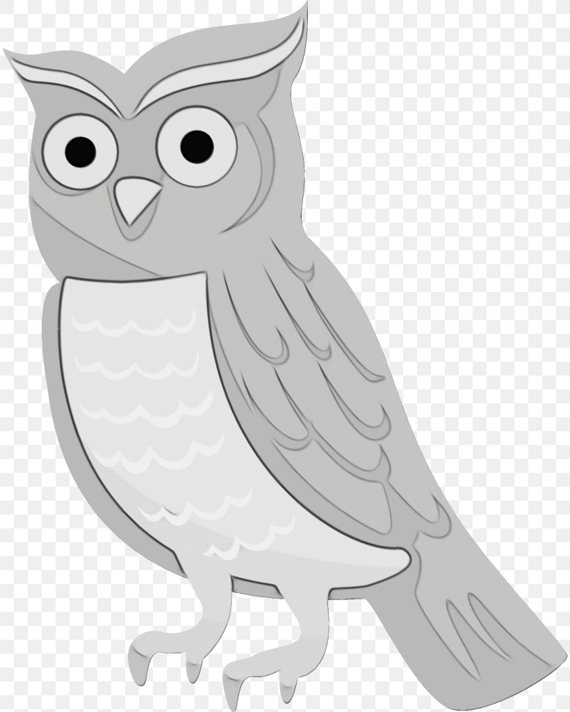 Owl Bird White Bird Of Prey Snowy Owl, PNG, 816x1024px, Watercolor, Beak, Bird, Bird Of Prey, Cartoon Download Free