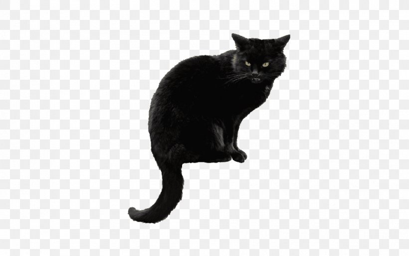 Bombay Cat Clip Art Siberian Cat Kitten, PNG, 957x600px, Bombay Cat, Asian, Black, Black And White, Black Cat Download Free