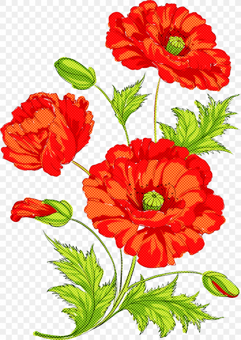 Flower Red Plant Petal Cut Flowers, PNG, 1307x1846px, Flower, Coquelicot, Corn Poppy, Cut Flowers, Oriental Poppy Download Free