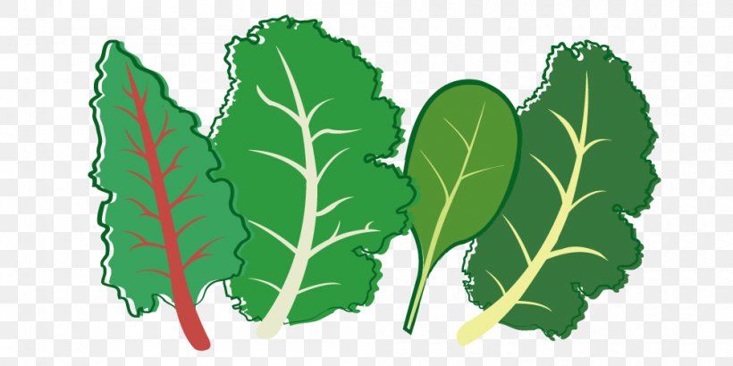 Herb Leaf Vegetable Plant Stem Seed, PNG, 1000x500px, Herb, Leaf, Leaf Vegetable, Organism, Plant Download Free