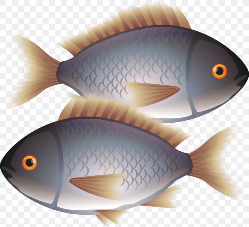 Painted Fish Pollution Eating Euclidean Vector, PNG, 902x826px, Fish, Amur Catfish, Deep Sea Fish, Eating, Fauna Download Free