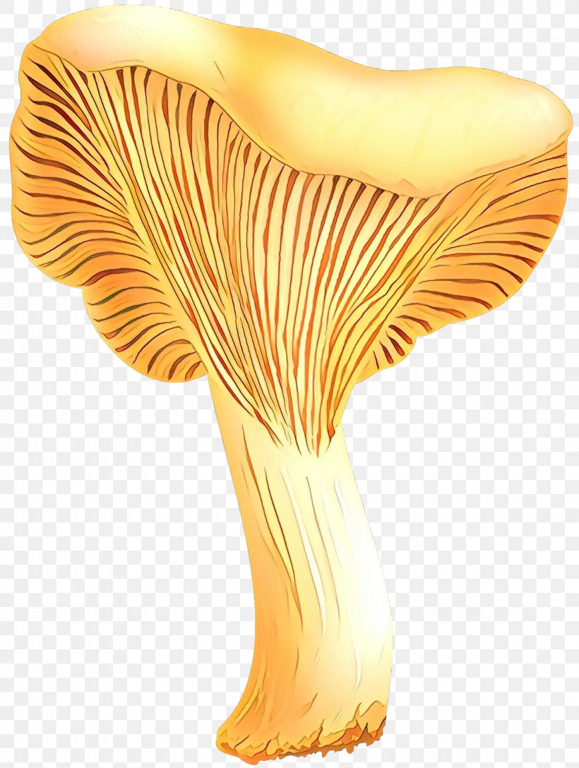 Vase Orange S.A., PNG, 2260x3000px, Vase, Edible Mushroom, Fungus, Mushroom, Orange Sa Download Free