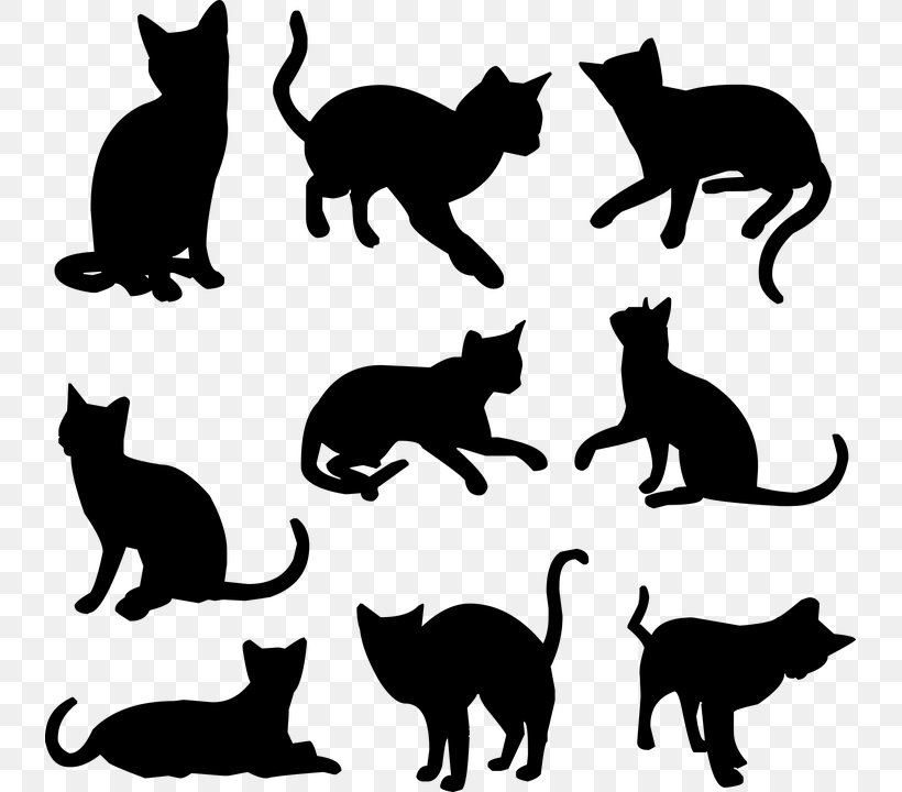 Kitten Siamese Cat Pet Black Cat Clip Art, PNG, 737x720px, Kitten, Animal, Black And White, Black Cat, Carnivoran Download Free