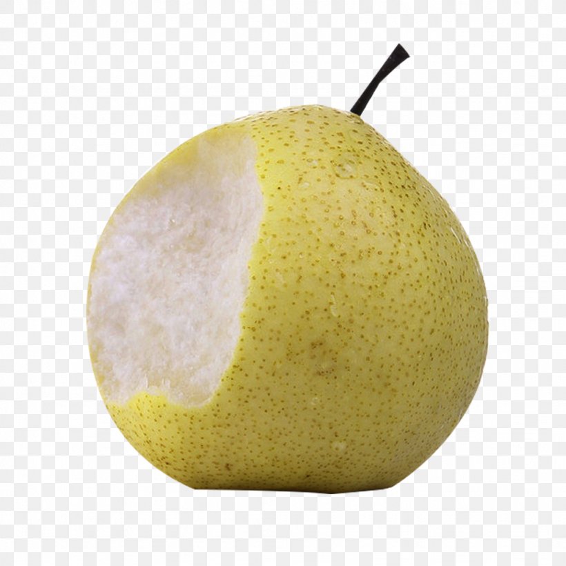 Asian Pear Citron Google Images, PNG, 1024x1024px, Asian Pear, Apple, Citron, Citrus, Citrus Junos Download Free