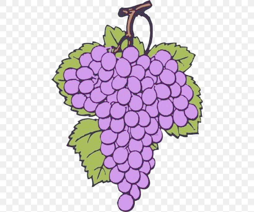 Common Grape Vine Wine Clip Art, PNG, 490x683px, Common Grape Vine, Art, Creative Arts, Flora, Floral Design Download Free