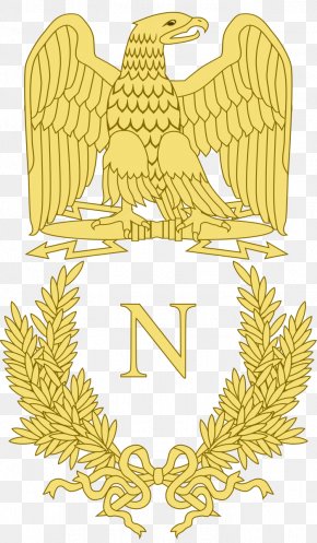 Napoleonic Wars French Imperial Eagle First French Empire French First ...