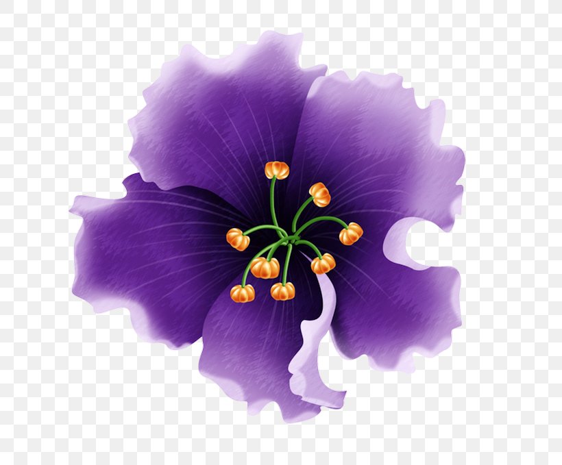 Hibiscus Flower, PNG, 633x679px, Flower, Blog, Centerblog, Flowering Plant, Garden Roses Download Free