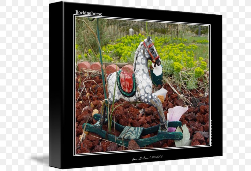 Horse Art Picture Frames Recreation Mammal, PNG, 650x560px, Horse, Art, Horse Like Mammal, Mammal, Picture Frame Download Free