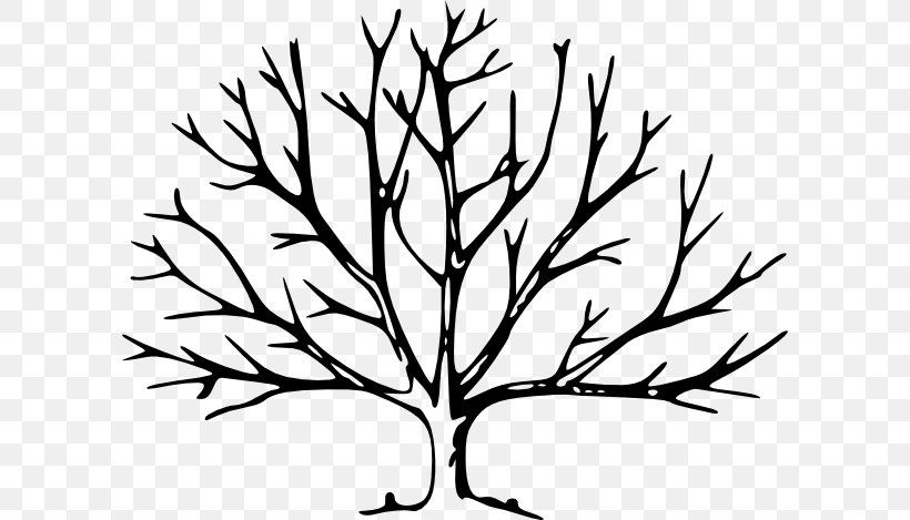 Tree Drawing Silhouette Clip Art, PNG, 600x469px, Tree, Artwork, Black And White, Branch, Drawing Download Free