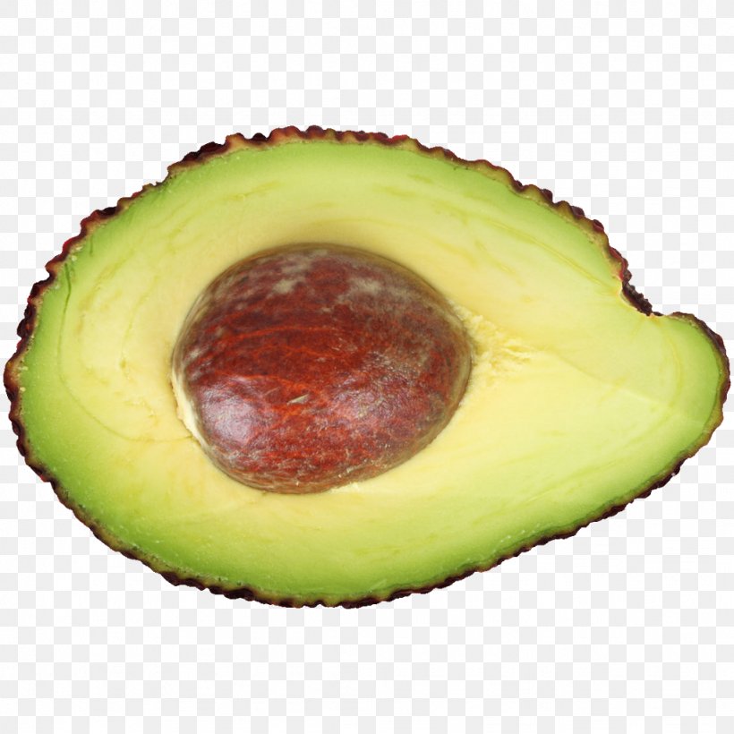 Avocado Eating Seed Food, PNG, 1024x1024px, Avocado, Eating, Food, Fruit, Image File Formats Download Free
