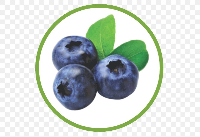 Blueberry Tea American Muffins Juice Food, PNG, 562x562px, Blueberry, American Muffins, Berries, Berry, Bilberry Download Free