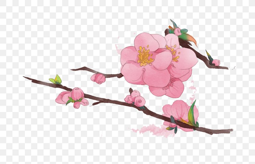 Tree Branch Begonia, PNG, 755x527px, Tree, Begonia, Blossom, Branch, Cherry Blossom Download Free