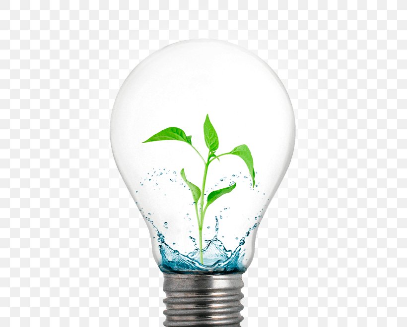 Incandescent Light Bulb Light-emitting Diode Electric Light, PNG, 557x660px, Light, Compact Fluorescent Lamp, Edison Light Bulb, Electric Light, Electricity Download Free