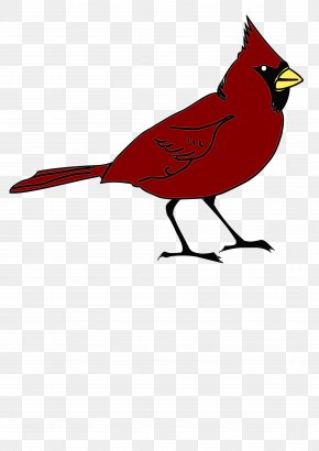 red cartoon cardinal bird songbird png 2401x2283px red bird cardinal cartoon perching bird download free red cartoon cardinal bird songbird png