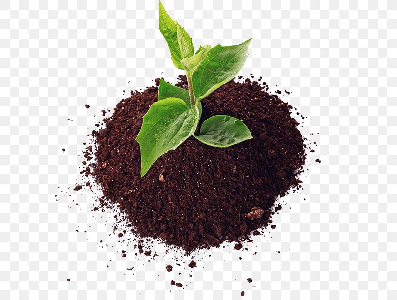 Soil Agriculture Fertilisers Pesticide Organic Farming, PNG, 600x620px, Soil, Agriculture, Assam Tea, Biochar, Biopesticide Download Free