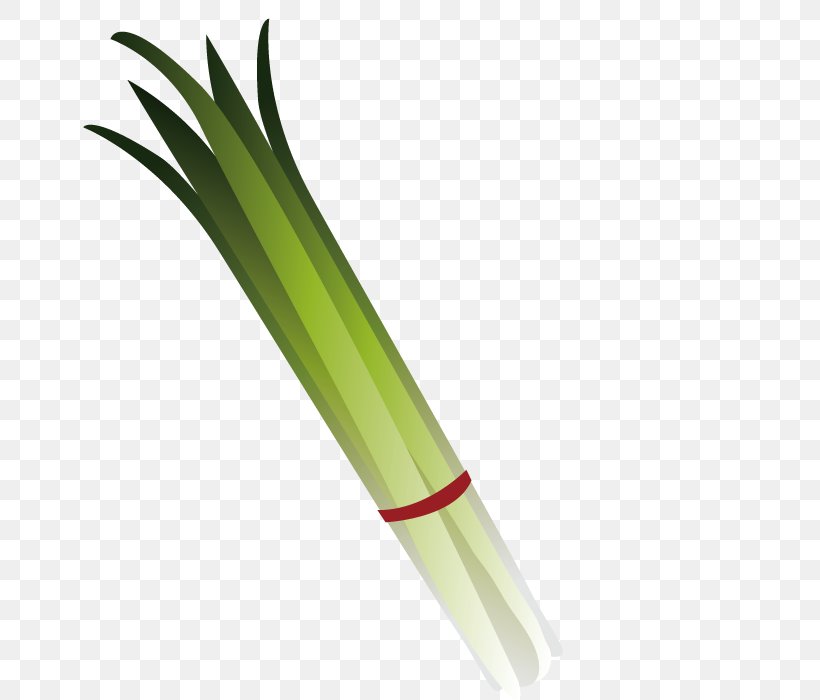 U5c0fu306du304e Food Scallion, PNG, 700x700px, Food, Chives, Condiment, Grass, Grass Family Download Free