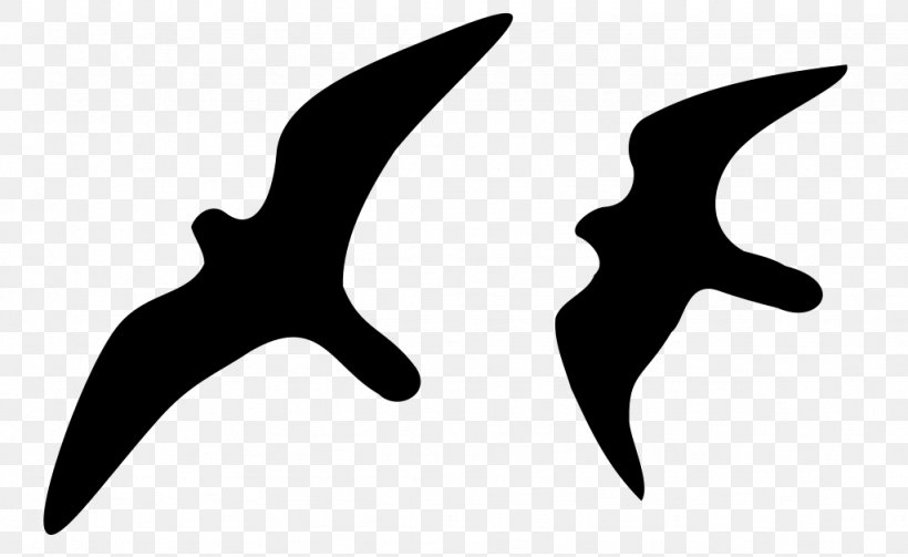 Bird Flight Peregrine Falcon Silhouette, PNG, 1024x629px, Bird, Beak, Bird Flight, Black And White, Encyclopedia Download Free