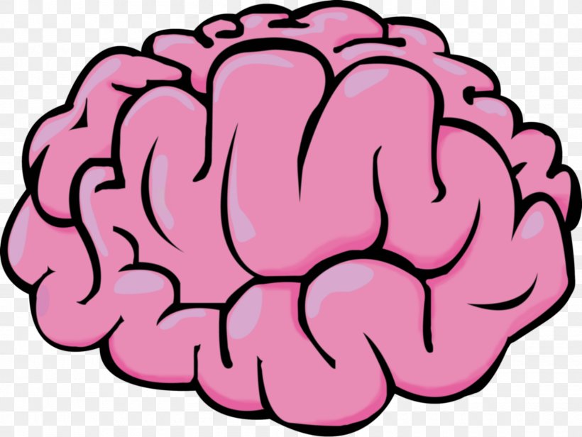 Brain Illustration, PNG, 1600x1203px, Brain, Cerebral Hemisphere, Drawing, Human Brain, Lateralization Of Brain Function Download Free