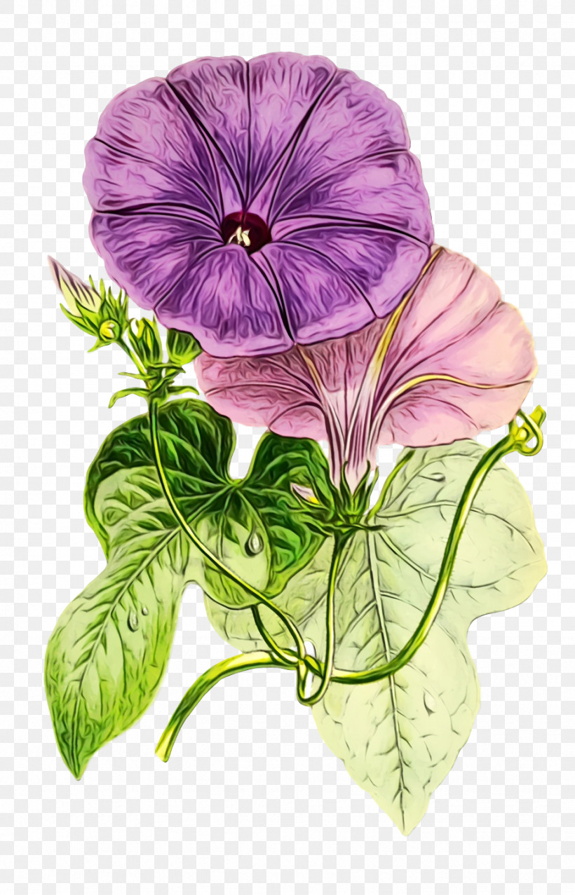 Pansy Annual Plant Herbaceous Plant Herb Geranium M, PNG, 924x1440px, Watercolor, Annual Plant, Biology, Geranium M, Herb Download Free