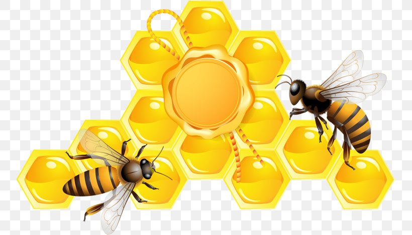 Bee Vector Graphics Honeycomb, PNG, 755x469px, Bee, Arthropod, Beehive, Honey, Honey Bee Download Free