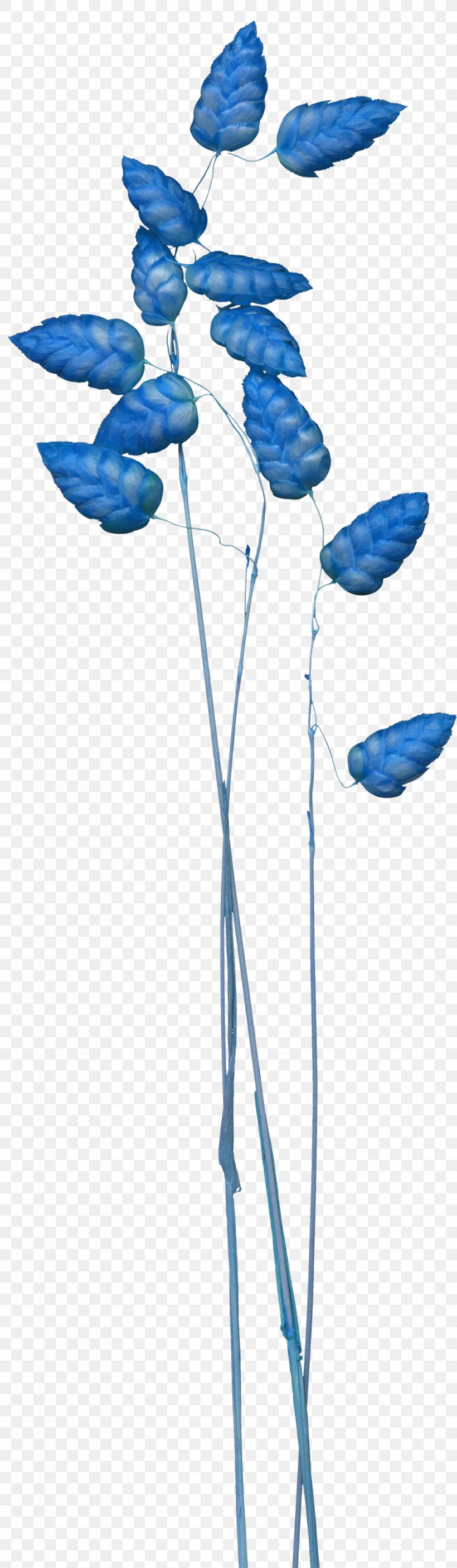 Blue Balloon Clip Art, PNG, 1012x3471px, Blue, Balloon, Branch, Flower, Flowering Plant Download Free