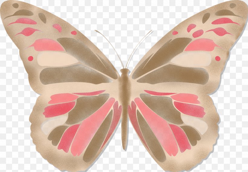 Butterfly Moth Pink M, PNG, 1600x1107px, Butterfly, Arthropod, Insect, Invertebrate, Moth Download Free