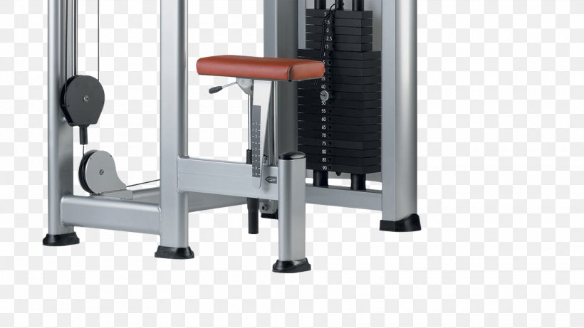 Deltoid Muscle Pectoralis Major Muscle Exercise Machine, PNG, 1920x1080px, Deltoid Muscle, Bodybuilding, Exercise, Exercise Equipment, Exercise Machine Download Free