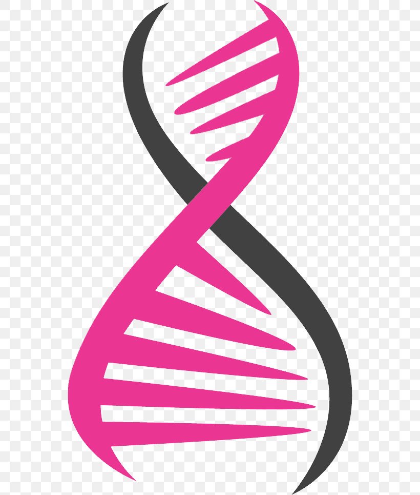 DNA Clip Art, PNG, 556x965px, Dna, Archive File, Area, Digital Marketing, Dnk Download Free