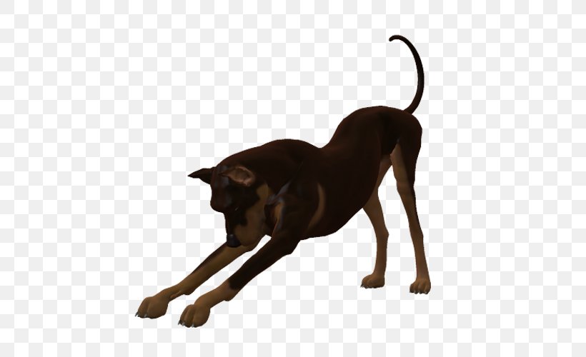 Dog Breed Cat Leash Mammal, PNG, 500x500px, Dog Breed, Breed, Carnivoran, Cat, Cat Like Mammal Download Free