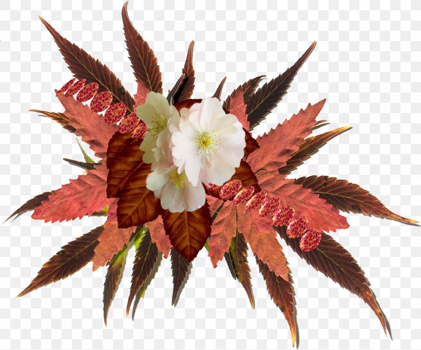 Flower Autumn, PNG, 1200x997px, Flower, Animation, Autumn, Drawing, Free Software Download Free