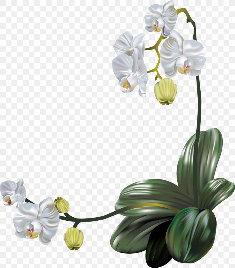 Orchids Flower, PNG, 1052x1200px, Orchids, Artificial Flower, Cut Flowers, Floral Design, Floristry Download Free