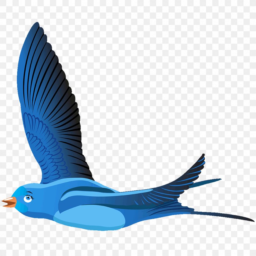 Bird Clip Art Image Transparency, PNG, 1000x1000px, Bird, Art, Beak, Bluebirds, Cartoon Download Free