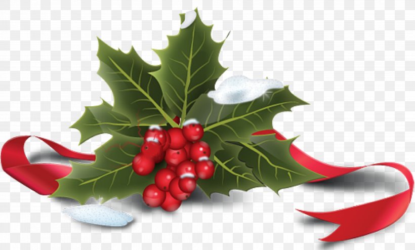 Christmas Plants Gift Yule Dress, PNG, 3937x2373px, Christmas, Aquifoliaceae, Aquifoliales, Christmas And Holiday Season, Christmas Plants Download Free