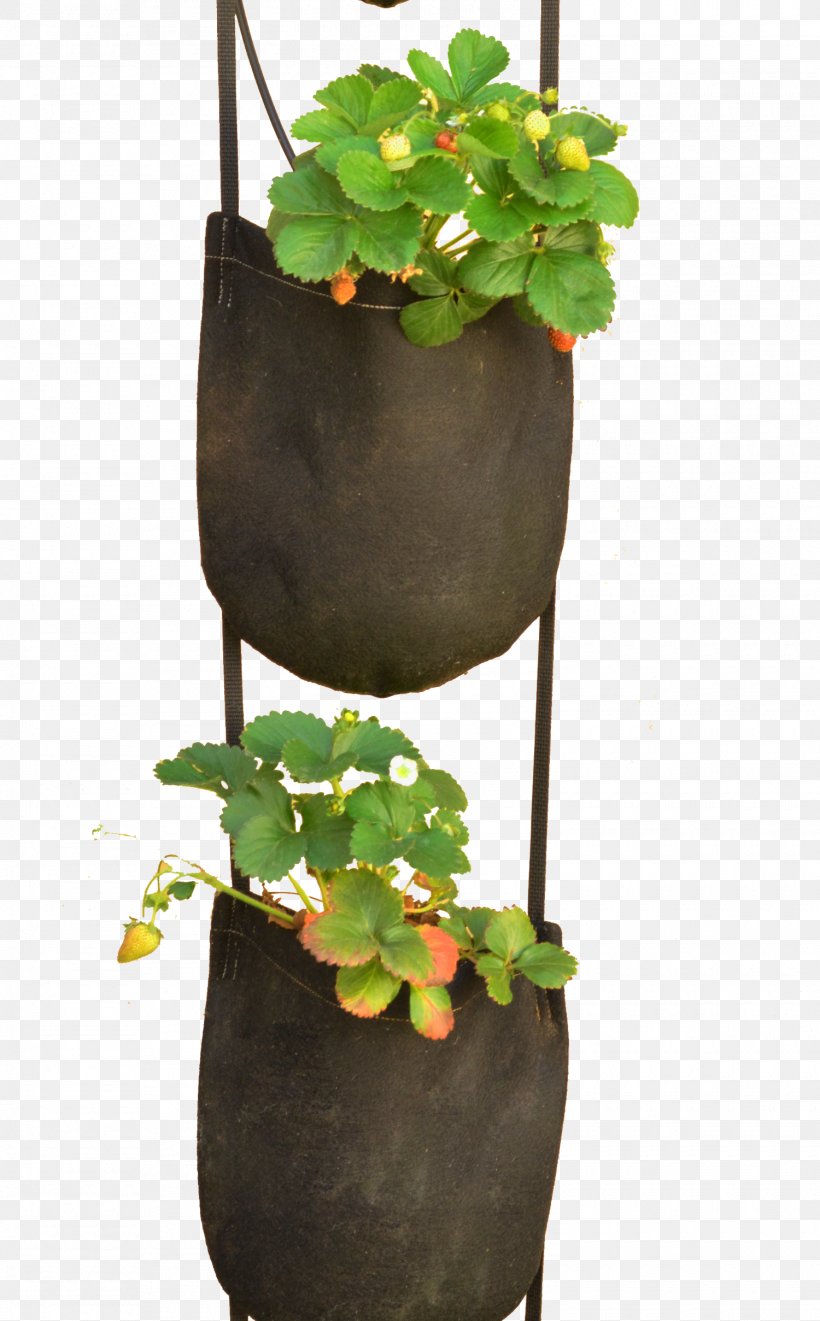 Plastic Bag Plant Flowerpot GeoPot, PNG, 1500x2417px, Plastic Bag, Bag, Container, Felt, Flower Download Free