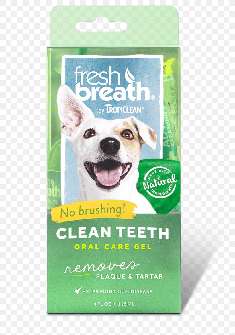 Teeth Cleaning Tooth Brushing Dog Gel, PNG, 800x1168px, Teeth Cleaning, Dental Calculus, Dental Plaque, Dentistry, Disease Download Free