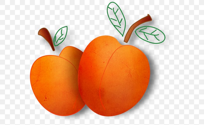 Vegetable Fruits Et Légumes Apelsin, PNG, 600x503px, Vegetable, Animaatio, Apelsin, Blog, Emoticon Download Free