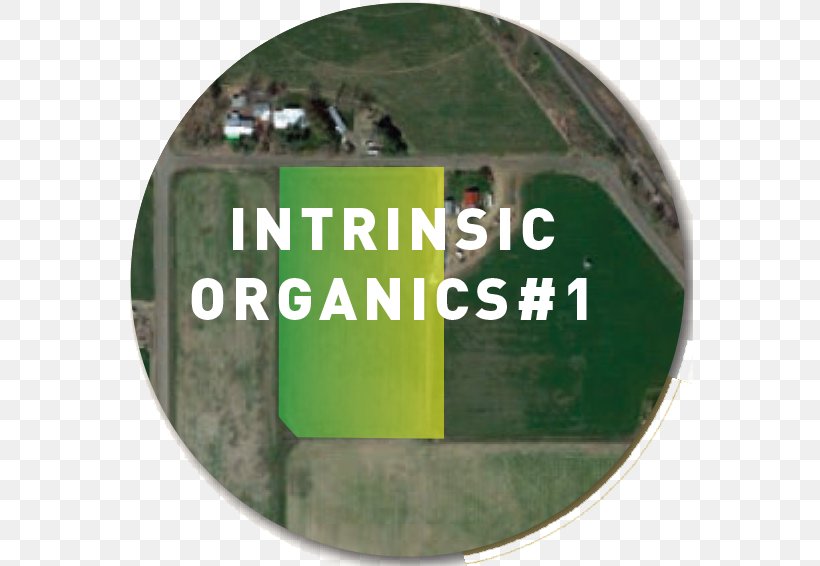 Green Intrinsic Organics Brand Plot, PNG, 567x566px, Green, Brand, Grass, Label, Plot Download Free