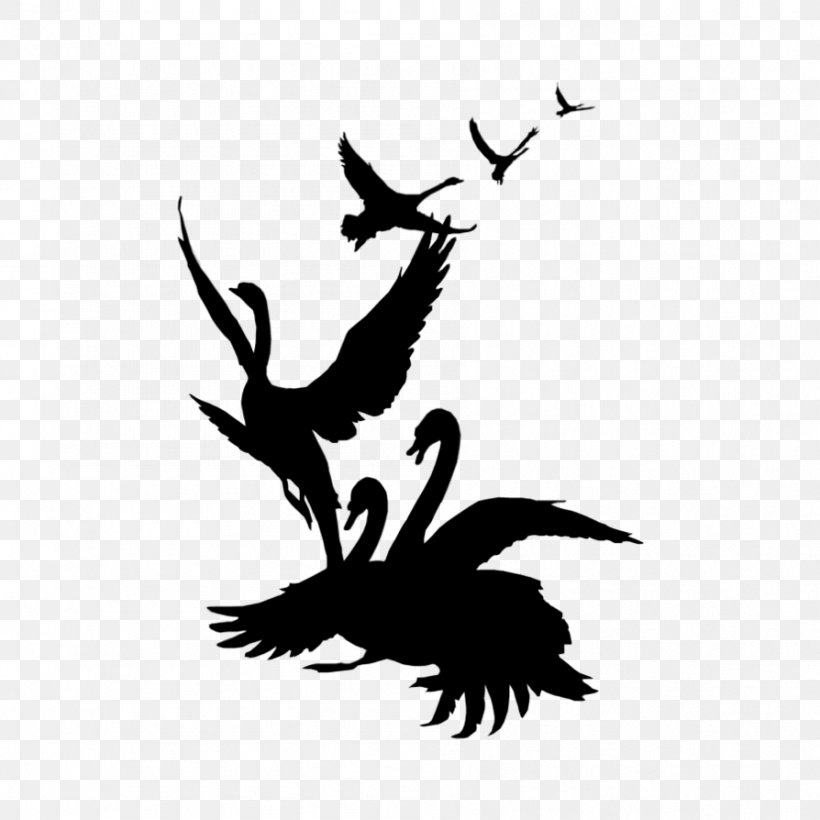 Silhouette Black Swan Clip Art, PNG, 894x894px, Silhouette, Art, Artwork, Beak, Bird Download Free