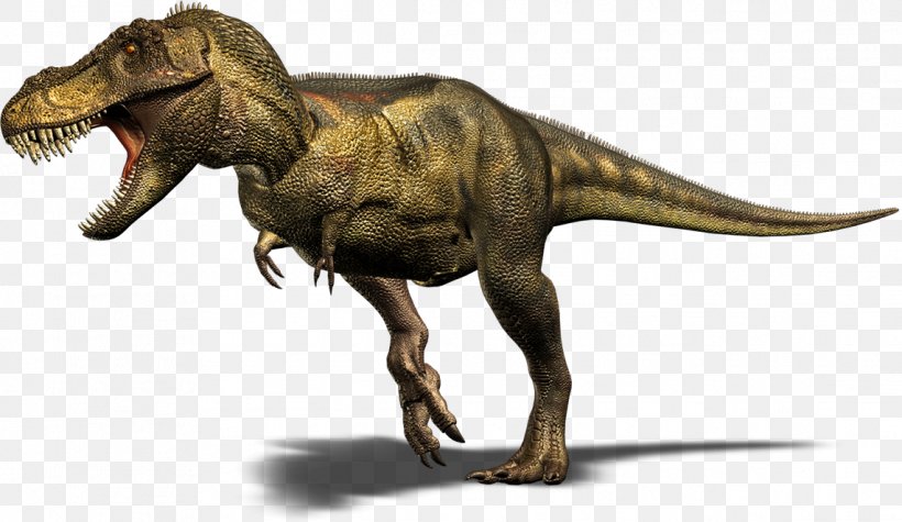 Spinosaurus Velociraptor Carnotaurus Stegosaurus Triceratops, PNG, 1142x662px, Spinosaurus, Baryonyx, Carnotaurus, Coelurosauria, Dinosaur Download Free