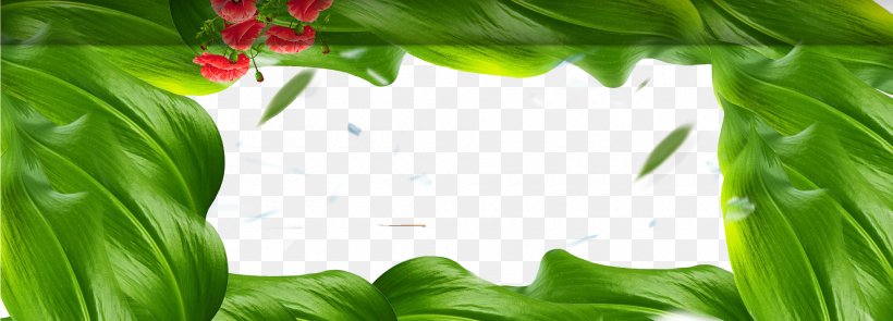 Spring Background, PNG, 1920x691px, Green, Color, Display Resolution, Grass, Image Resolution Download Free