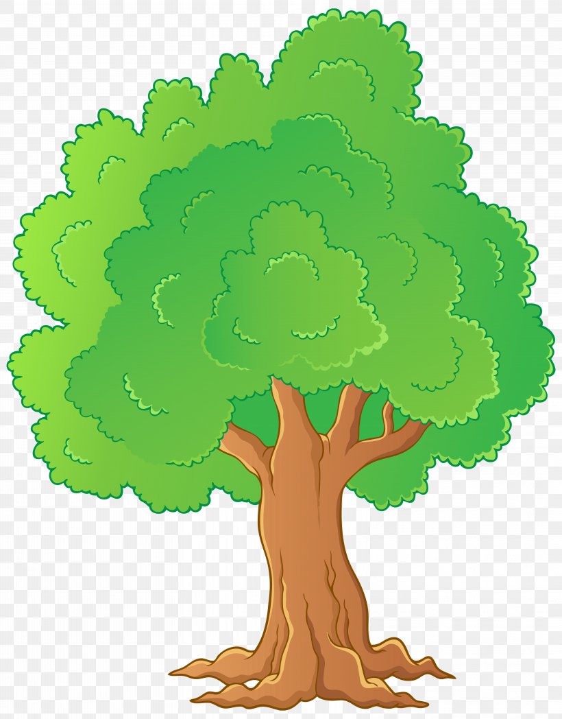 Transparent Tree Branch Cartoon Png