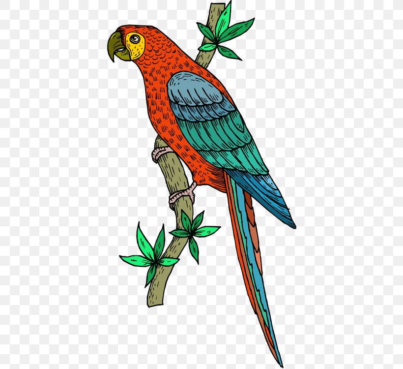 Bird Cockatoo Scarlet Macaw Clip Art, PNG, 386x750px, Bird, Art, Beak, Blueandyellow Macaw, Branch Download Free